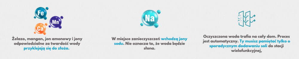 Animacja i schemat usuwania jonu amonowego z wody przy użycu stacji wielofunkcyjnej